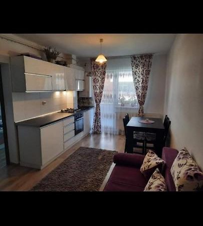 브라쇼브 Diana Apartament 아파트 외부 사진