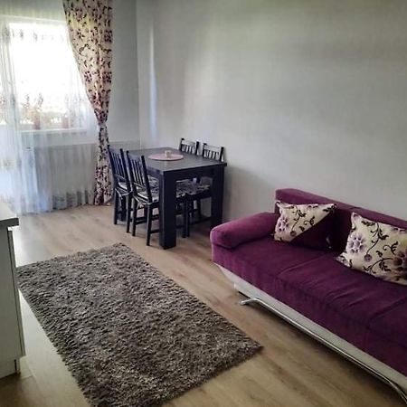 브라쇼브 Diana Apartament 아파트 외부 사진