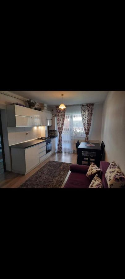 브라쇼브 Diana Apartament 아파트 외부 사진