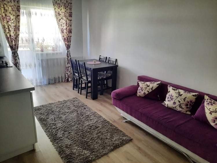 브라쇼브 Diana Apartament 아파트 외부 사진